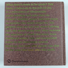 Phyllis Richardson : XS green : big ideas, small buildings - pikkukuva 2