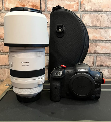 Canon R5 + RF100-500
