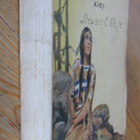 Stewart E. White: Hiljaisten metsien tyttö, G:rus 1926. 224s - pikkukuva 3