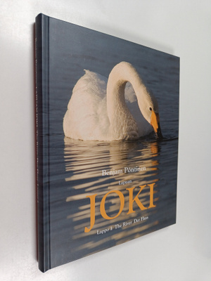 Benjam Pöntinen : Lapuan joki