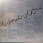 THE SENSATIONAL 70's :: VARIOUS COMPILATION LP :: 1981 - pikkukuva 2