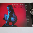 Black Box - Dreamland -LP *1990 EUROPOP DISCO* - pikkukuva 1