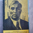 Boris Pasternak Viimeinen kesä - pikkukuva 2
