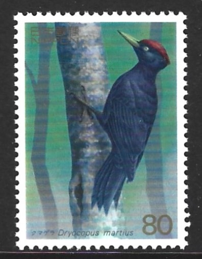 Japani 1995, tikka (kumagera)