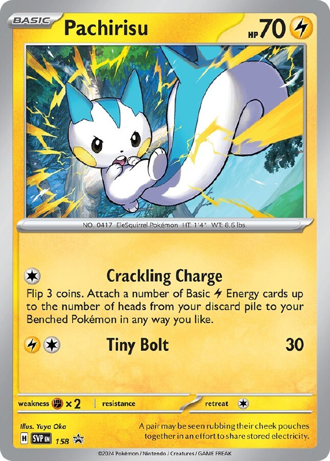 Pachirisu SVP 158 - Black Star Promo - NM/M