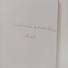 Matti Malin : Noitivirta : kertomus merovingiajalta (teki... - pikkukuva 3