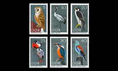 DDR 1272-7 ** Uhanalaisia lintuja (1967)