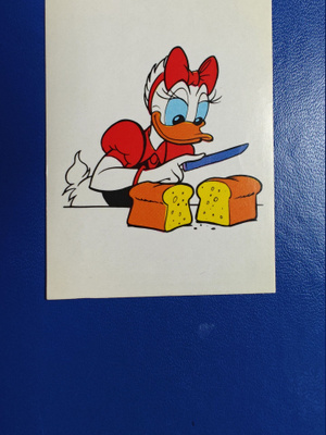 DISNEY TARRAKUVA