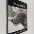 Irlanninsusikoira - pikkukuva 1