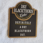 Dry Blackthorn Cider Tuopinalunen - pikkukuva 2