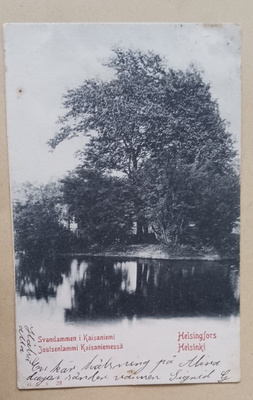 Helsinki, Kaisaniemen Joutsenlampi, mv pk, p. 1903