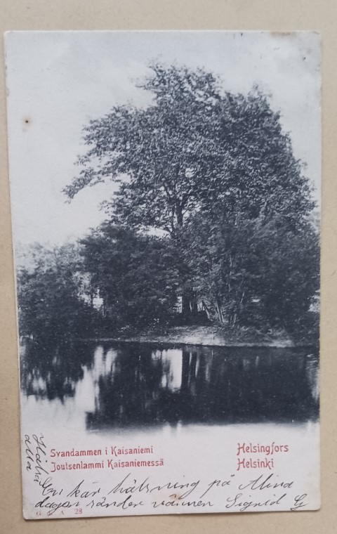Helsinki, Kaisaniemen Joutsenlampi, mv pk, p. 1903