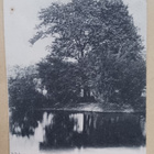 Helsinki, Kaisaniemen Joutsenlampi, mv pk, p. 1903 - pikkukuva 1