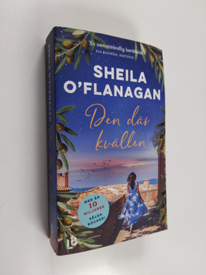 Sheila O'Flanagan : Den där kvällen