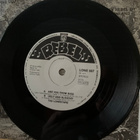 THE LONE STARS:Are You From Dixie *Ugly And Slouchy*FIN 1981 - pikkukuva 3