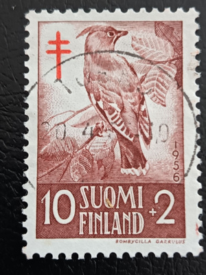 TUB-56 10+2