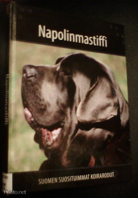 NAPOLINMASTIFFI (Suomen suosituimmat koirarodut) Sis.pk:t