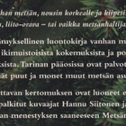 Ville Suhonen: Metsän tarina - pikkukuva 3