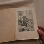 Rolf salolla (1914) – Ernest Thompson Seton, 1. painos - pikkukuva 5