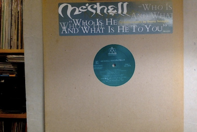 ME'SHELL NDEGÉOCELLO :: WHO IS HE &.. :: VINYYLI 12" US-1996