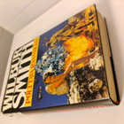 Wilbur Smith: Polttava rannikko - pikkukuva 1