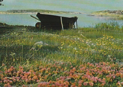 Postikortti, TURUN SAARISTO