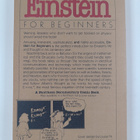Michael McGuinness ym. : Einstein for Beginners - pikkukuva 2
