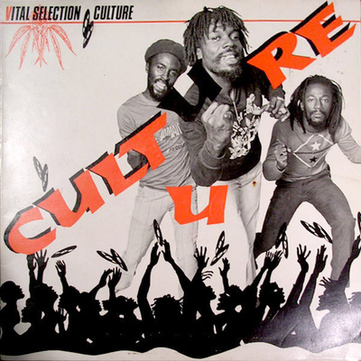 Culture – Vital Selection