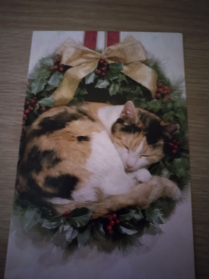 Kissa joulu kortti,kulkematon.