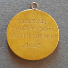TUL viestiuinti mestarit v 1923, halk 2cm, liikunta - pikkukuva 2