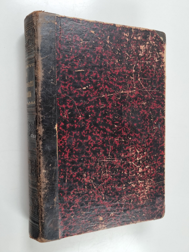 Uusi testamentti selityksillä (1894)