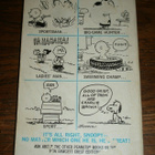 Who Do You Think You Are, Charlie Brown? - pikkukuva 2