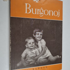 Vilho Setälä : Burgonoj : infanoj en poezio fotografio - pikkukuva 1