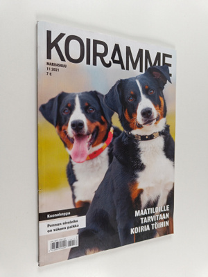 Koiramme 11/2021