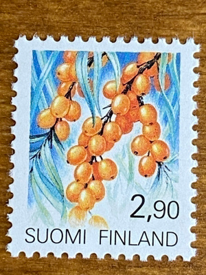 YLEISMERKKI TYRNI 1991**