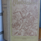 Gabriel Ferry: Metsäsissi. Kirja 1918. 2p. 496 s. - pikkukuva 1