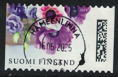 Kukkia 2024, loistoleimaus