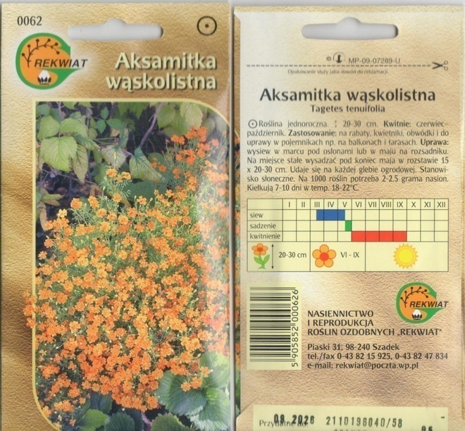 Kääpiösamettikukka "Orange Gem" siemenet #