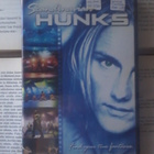 Scandinavian Hunks: Find Your True Fantasies (DVD) - pikkukuva 1