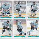2017-18 Cardset Ser 2 Pelicans Team Set 12 korttia (289-300) - pikkukuva 1