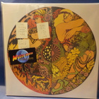BLUES PILLS - LADY IN GOLD - UUSI EU 2016 LP - pikkukuva 1