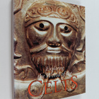 Simon James : Exploring the world of the Celts - pikkukuva 1