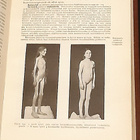 Kotilieden lääkärikirja (1929) - pikkukuva 5