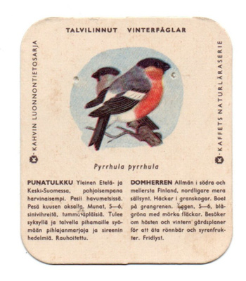 Kahvilappu TALVILINNUT. PUNATULKKU