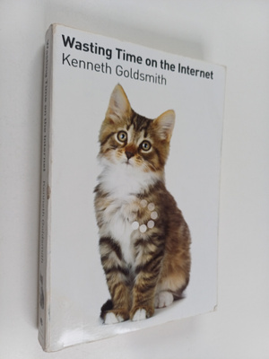 Kenneth Goldsmith : Wasting Time on the Internet