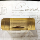 Natura Obscura – Entomologinen näyte no. 343 - pikkukuva 2