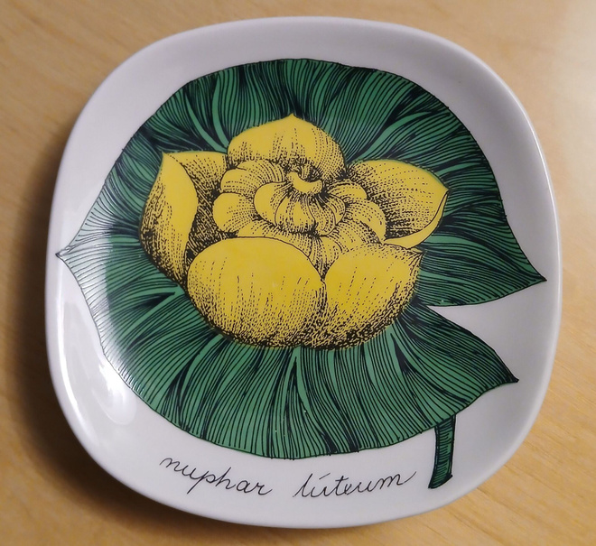 Arabia Isoulpukka seinälautanen, design Esteri Tomula.