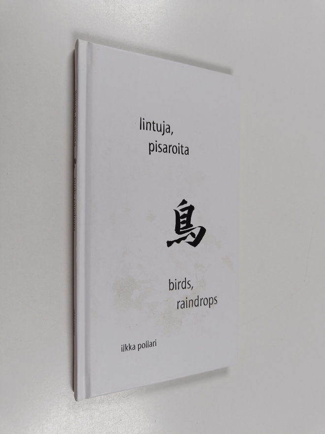Ilkka Pollari : Lintuja, pisaroita = Birds, raindrops