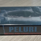 Dario Argento: PELURI (2004) uusi ja muoveissa - pikkukuva 3