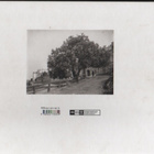 Signe Brander : 1869-1942 : Helsingin valokuvaaja, yvk, K4 - pikkukuva 2